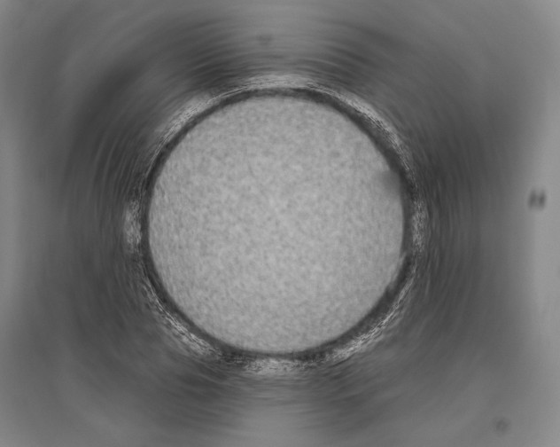 X0000096630929200803041101