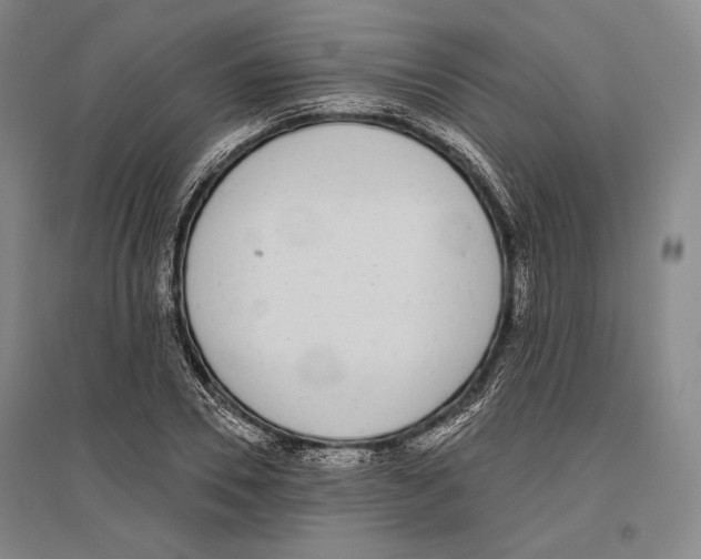 X0000096630930200803041101