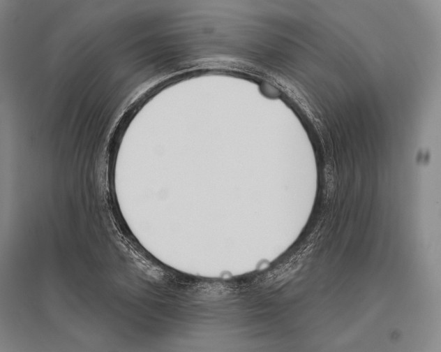 X0000096630931200803041101