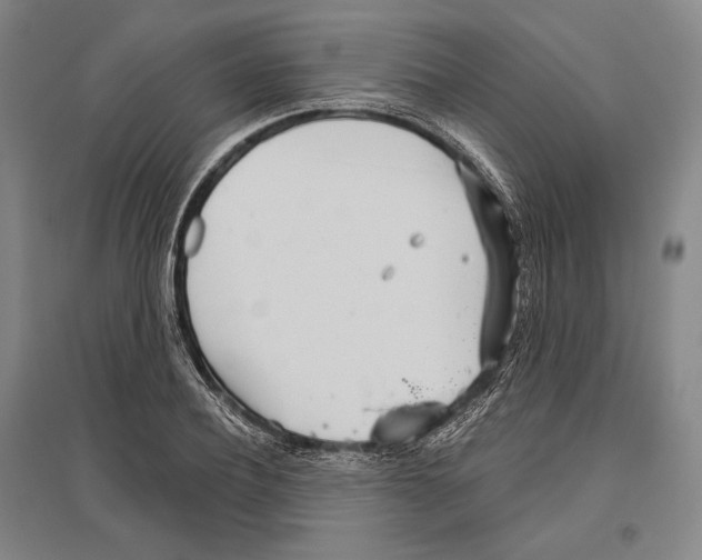 X0000096630932200803041101