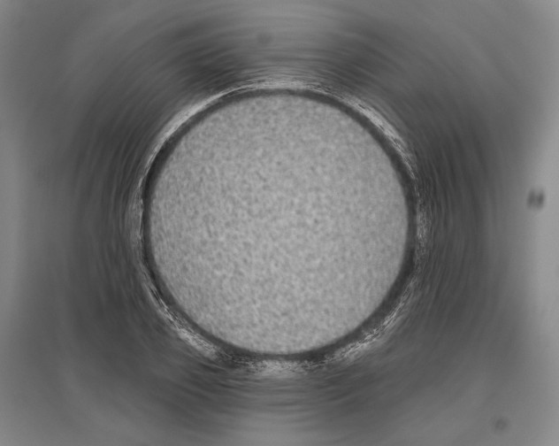 X0000096630933200803041101