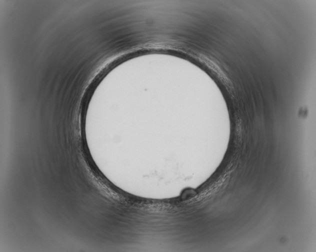 X0000096630934200803041101