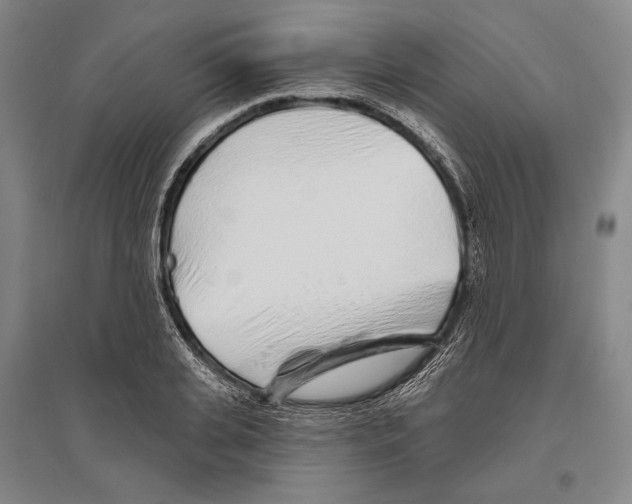 X0000096630935200803041101