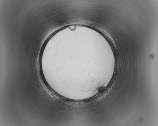 X0000096630936200803041101