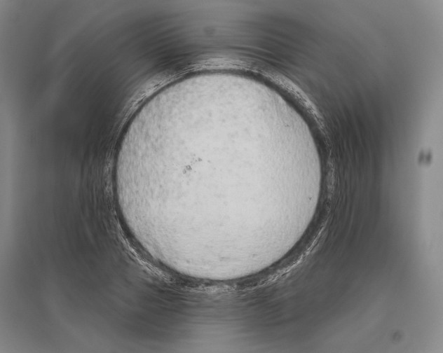 X0000096630937200803041101