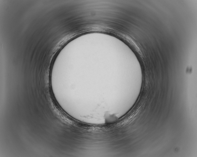 X0000096630938200803041101
