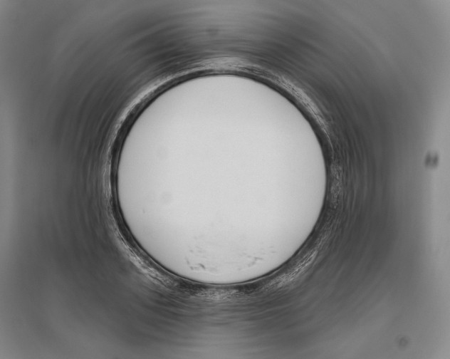 X0000096630939200803041101