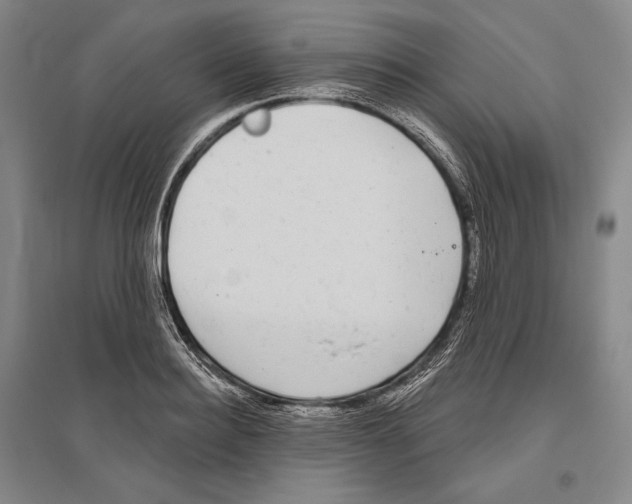 X0000096630940200803041101