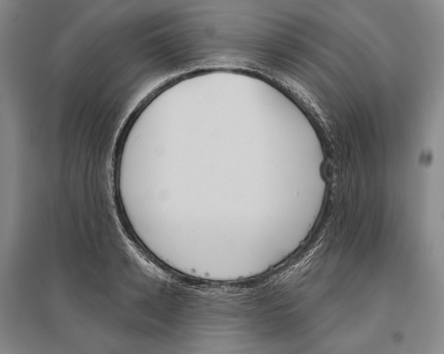 X0000096630942200803041101
