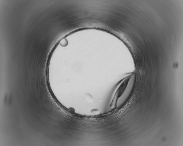 X0000096630943200803041101