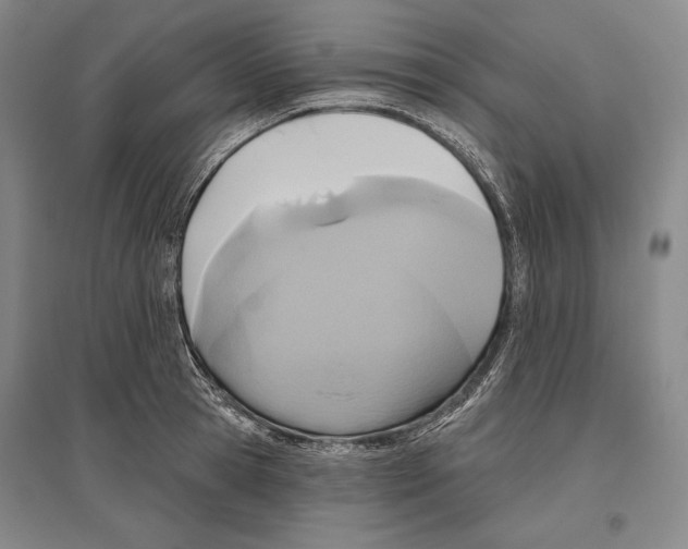 X0000096630945200803041101