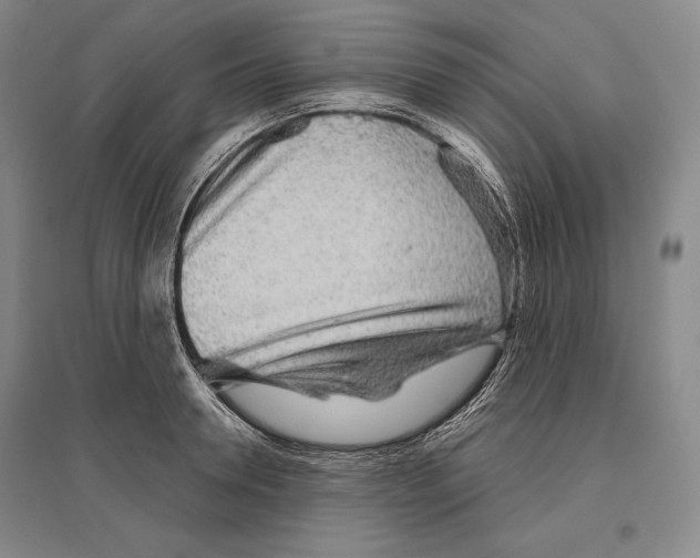 X0000096630946200803041101