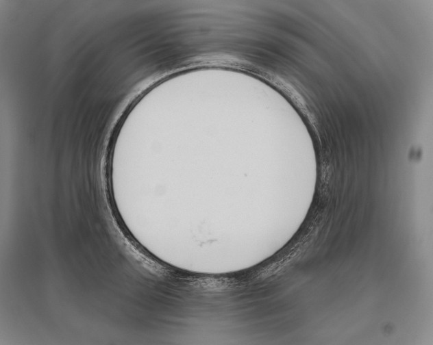 X0000096630947200803041101