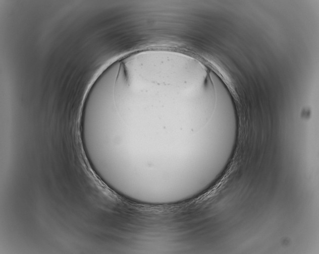 X0000096630948200803041101