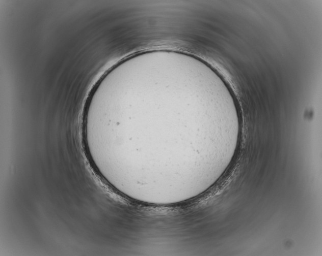 X0000096630949200803041101