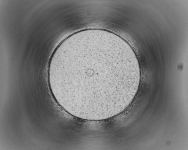 X0000096630950200803041101