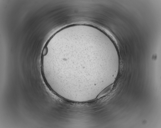 X0000096630951200803041101