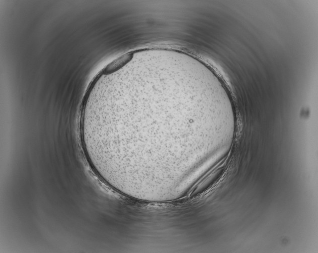 X0000096630952200803041101