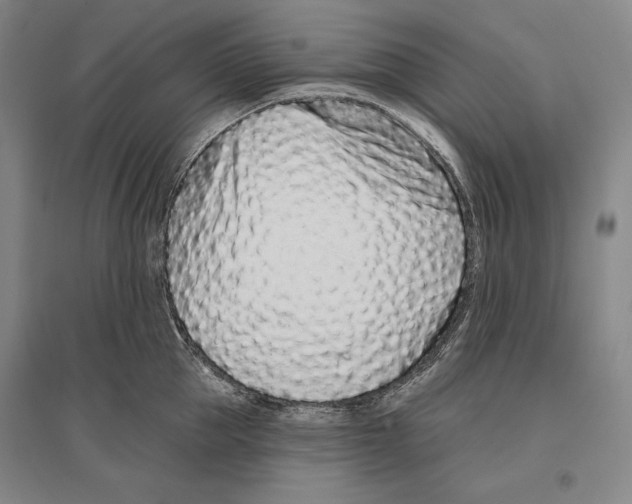 X0000096630953200803041101