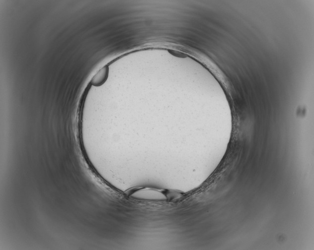 X0000096630955200803041101