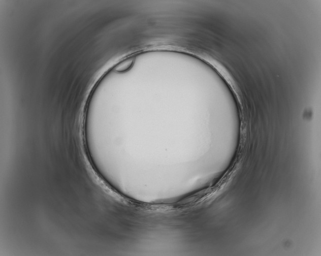 X0000096630957200803041101