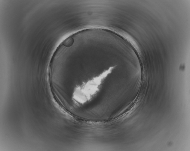 X0000096630958200803041101