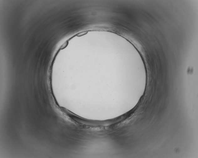 X0000096630960200803041101