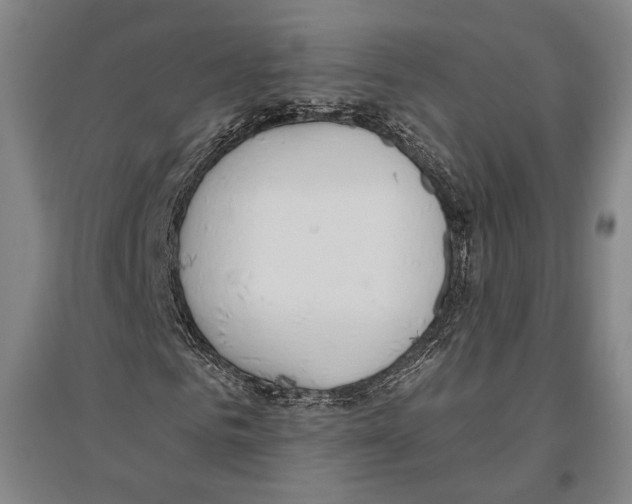 X0000096630961200803041101