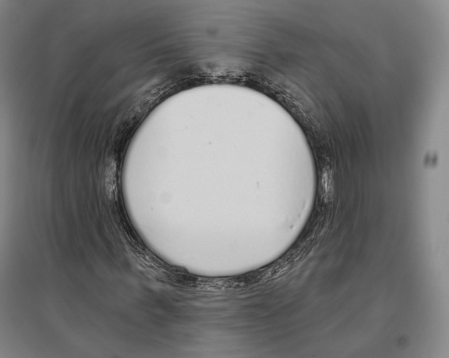 X0000096630963200803041101