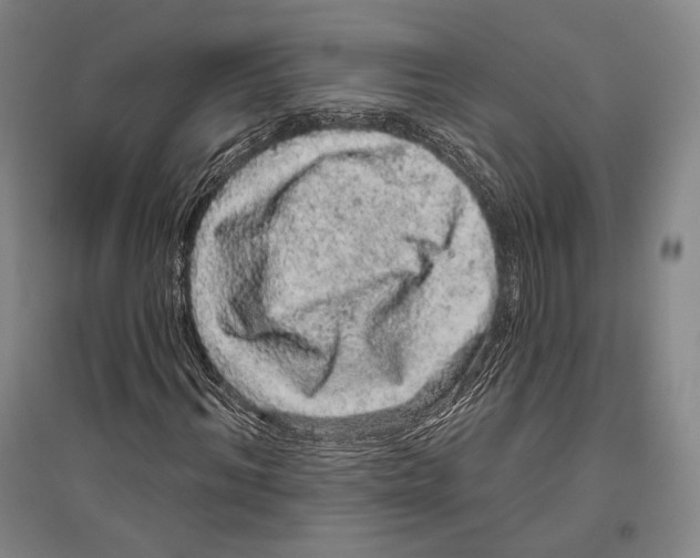 X0000096630964200803041101