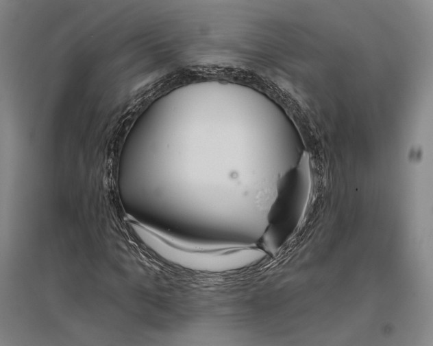 X0000096630965200803041100