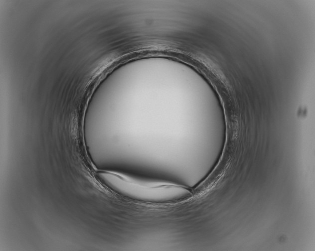 X0000096630969200803041100