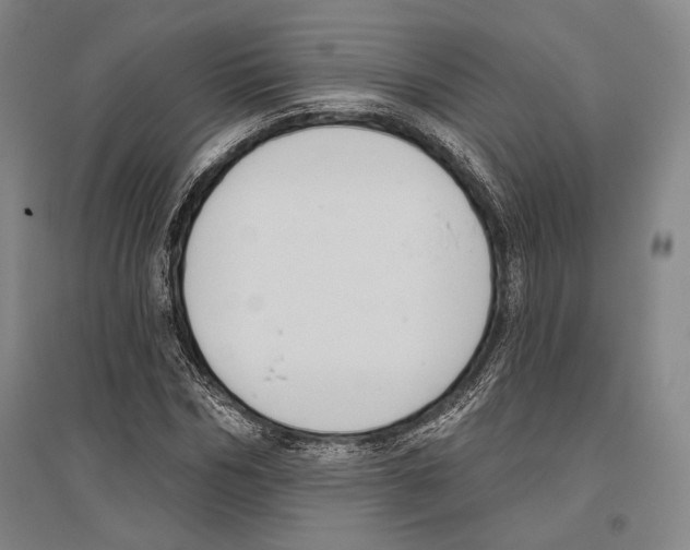 X0000096630970200803041100