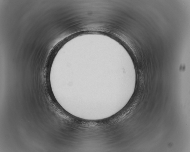 X0000096630971200803041100