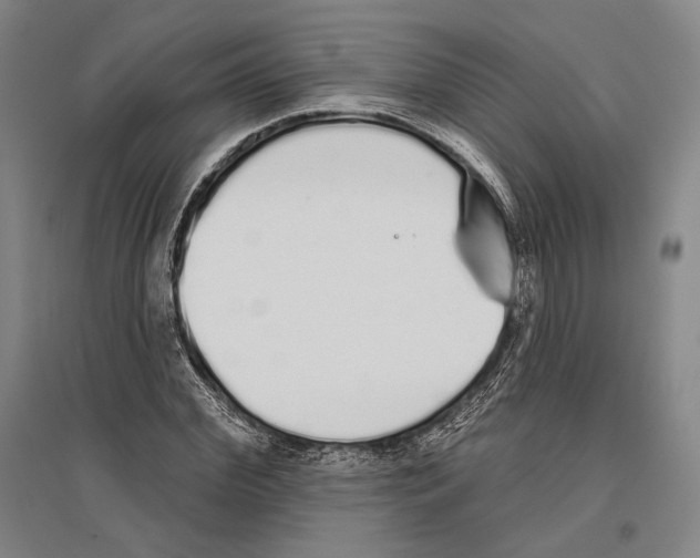 X0000096630972200803041100