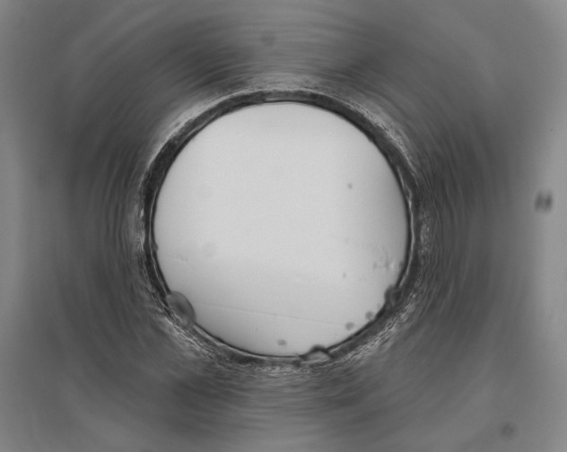 X0000096630973200803041100