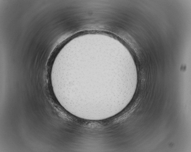 X0000096630974200803041100