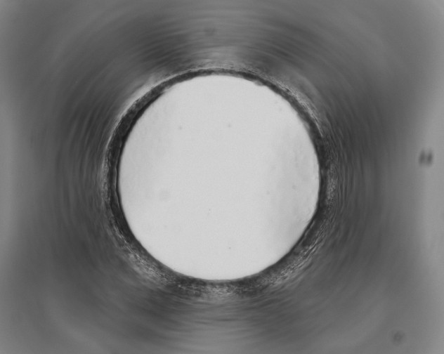 X0000096630975200803041100