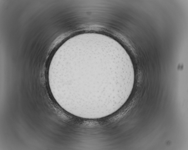 X0000096630978200803041100
