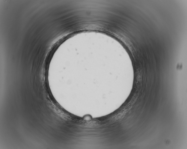 X0000096630979200803041100
