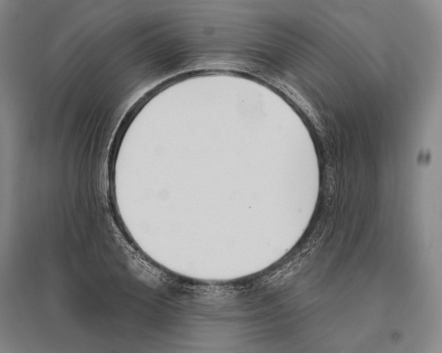 X0000096630980200803041100