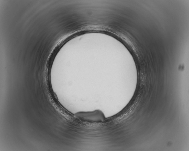 X0000096630981200803041100
