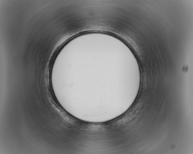 X0000096630982200803041100
