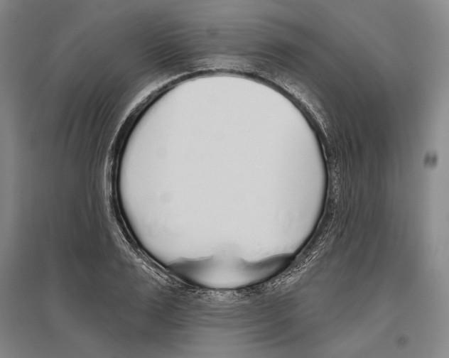X0000096630983200803041100