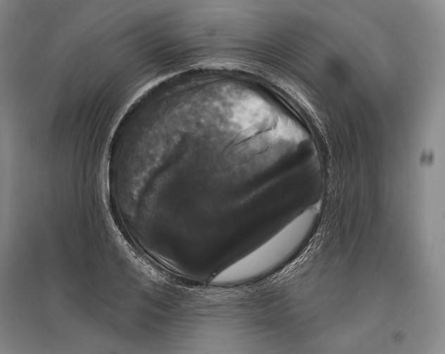 X0000096630984200803041100