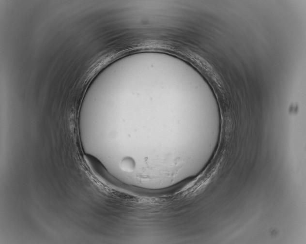 X0000096630985200803041100