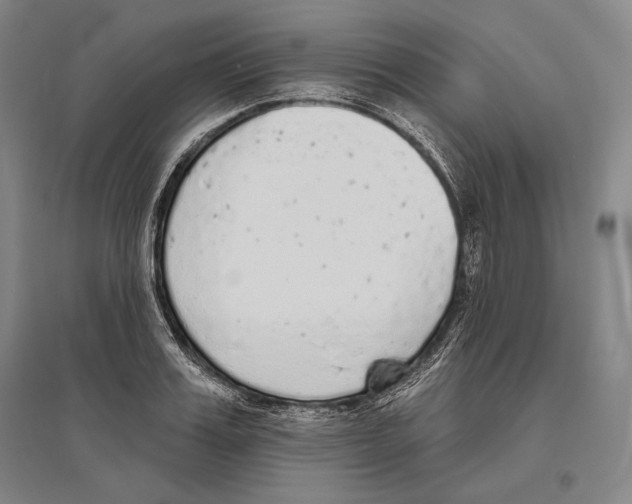 X0000096630987200803041100