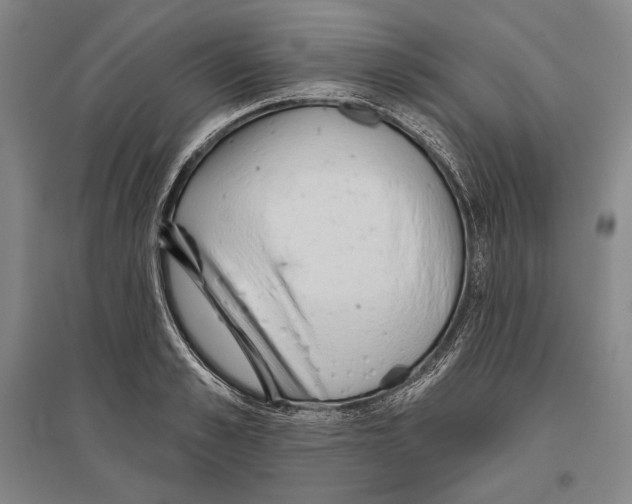 X0000096630989200803041100