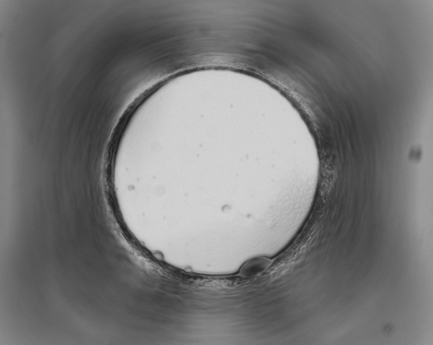 X0000096630991200803041100