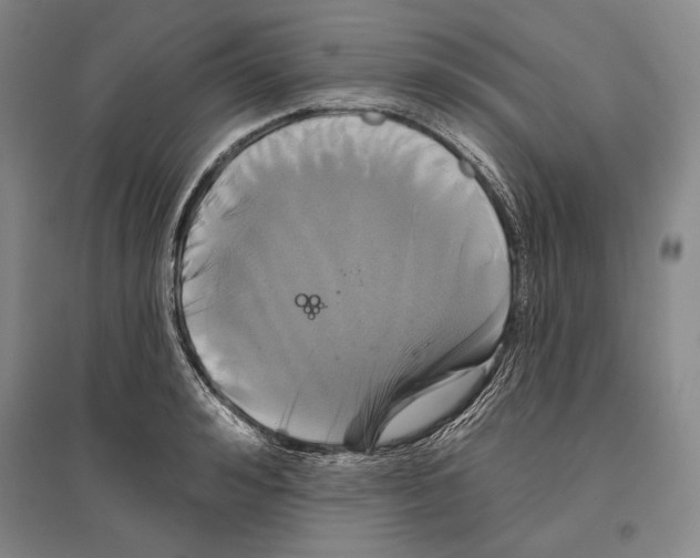X0000096630992200803041100